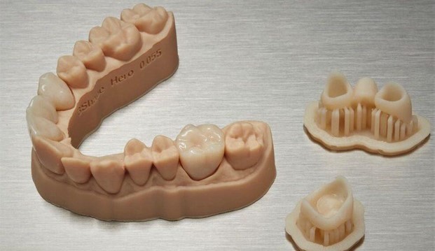 3D printed model of lower teeth